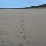A single set of footsteps on a Cornish beach